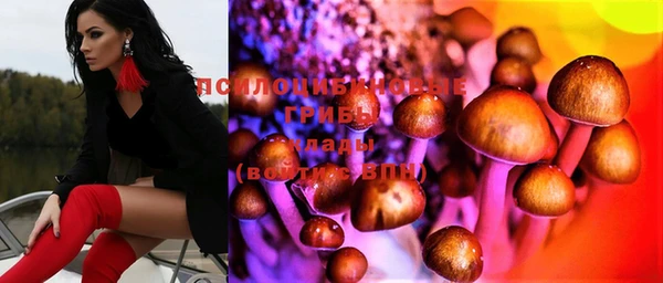 скорость Вяземский