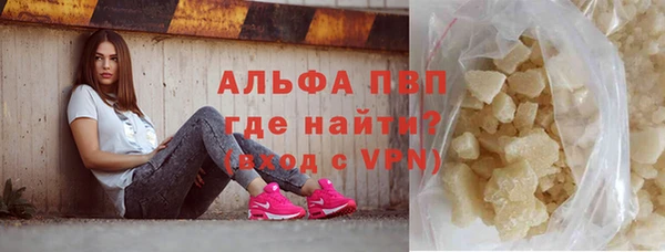 скорость Вяземский