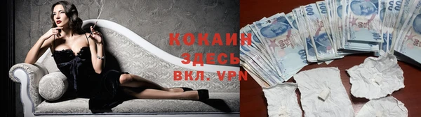 ПСИЛОЦИБИНОВЫЕ ГРИБЫ Вязьма
