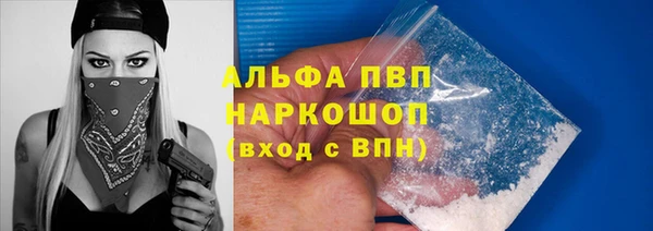 скорость Вяземский