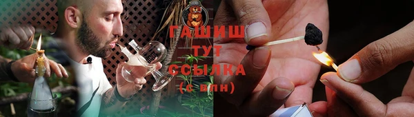 скорость Вяземский
