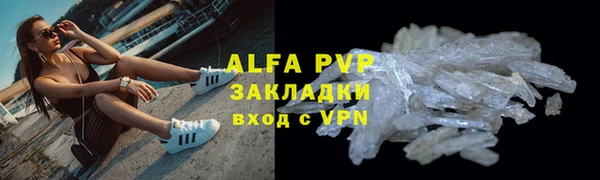 ПСИЛОЦИБИНОВЫЕ ГРИБЫ Вязьма
