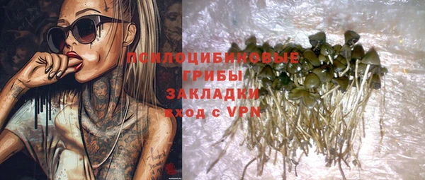 скорость Вяземский