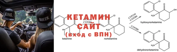 ГАЛЛЮЦИНОГЕННЫЕ ГРИБЫ Вязники