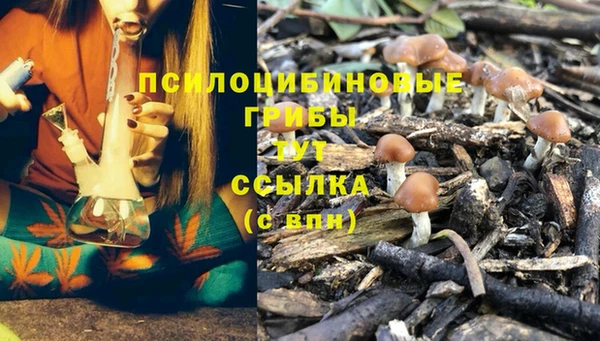 ГАЛЛЮЦИНОГЕННЫЕ ГРИБЫ Вязники