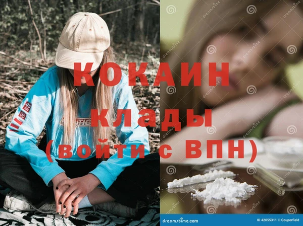 ГАЛЛЮЦИНОГЕННЫЕ ГРИБЫ Вязники
