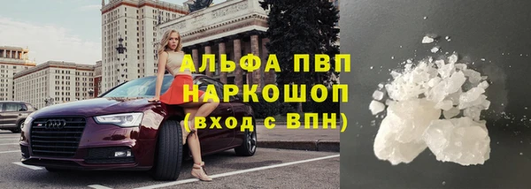 ПСИЛОЦИБИНОВЫЕ ГРИБЫ Вязьма