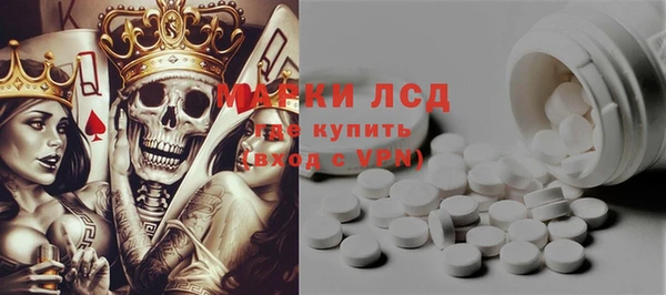ГАЛЛЮЦИНОГЕННЫЕ ГРИБЫ Вязники