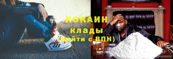 ПСИЛОЦИБИНОВЫЕ ГРИБЫ Вязьма