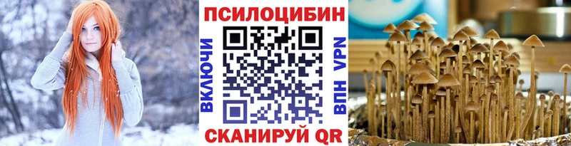 Псилоцибиновые грибы прущие грибы Бабаево
