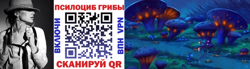Псилоцибиновые грибы GOLDEN TEACHER  Купить где  Бабаево 